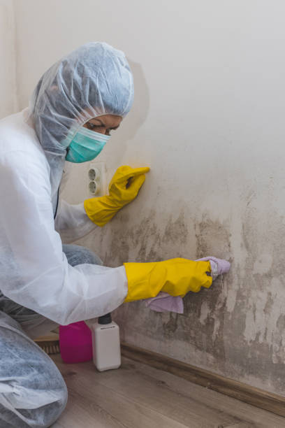 Best Biohazard Mold Removal  in Pen Argyl, PA